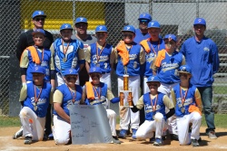 FORCE 11U